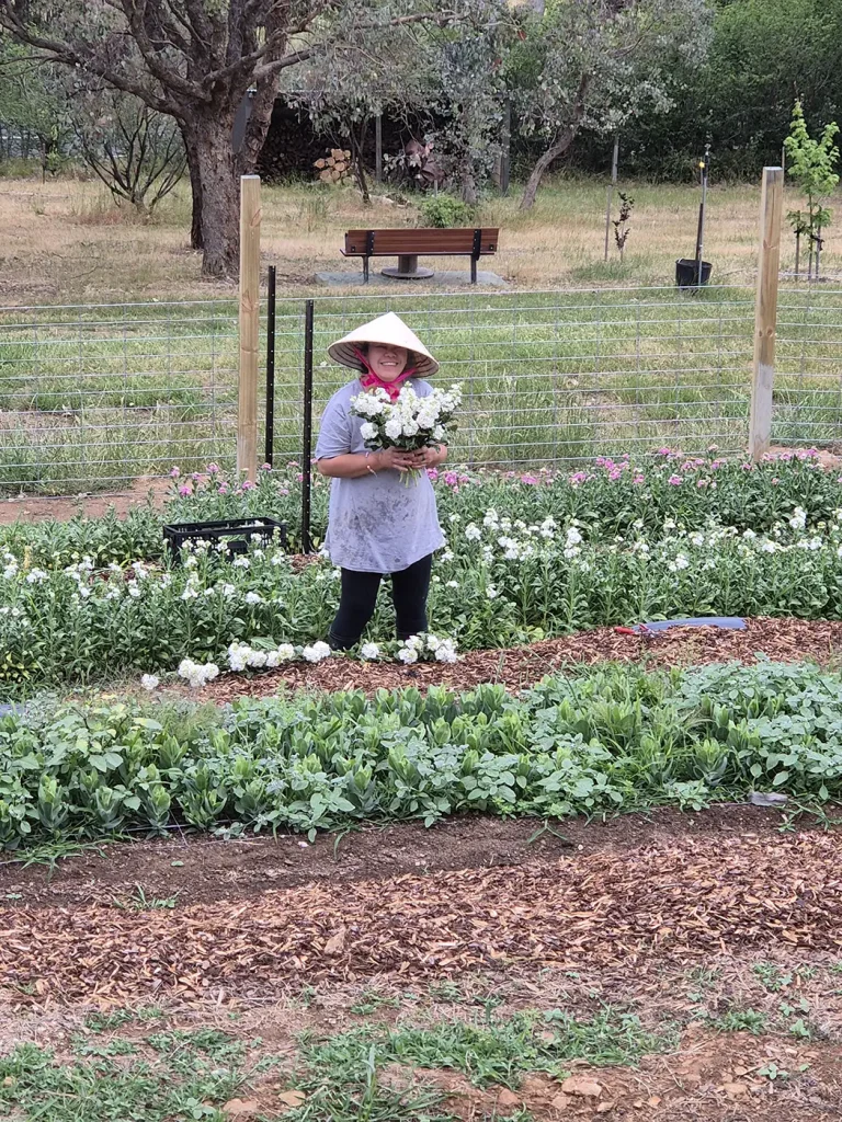 Locally grown flowers from a trusted flower farm in regional Victoria