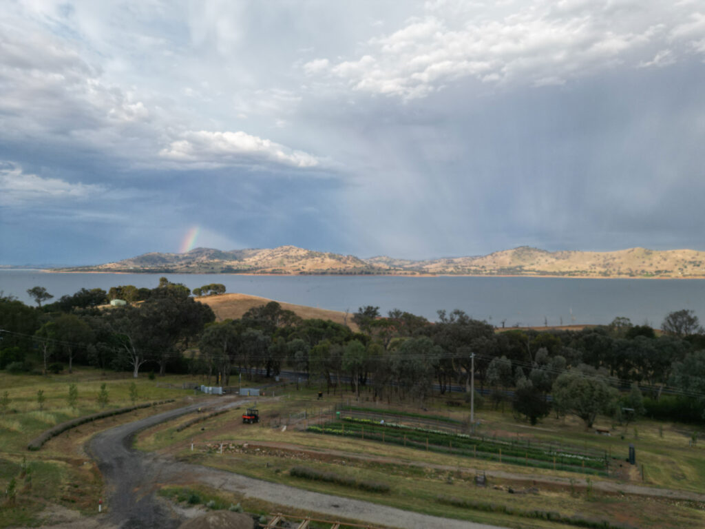 victorian flower farm