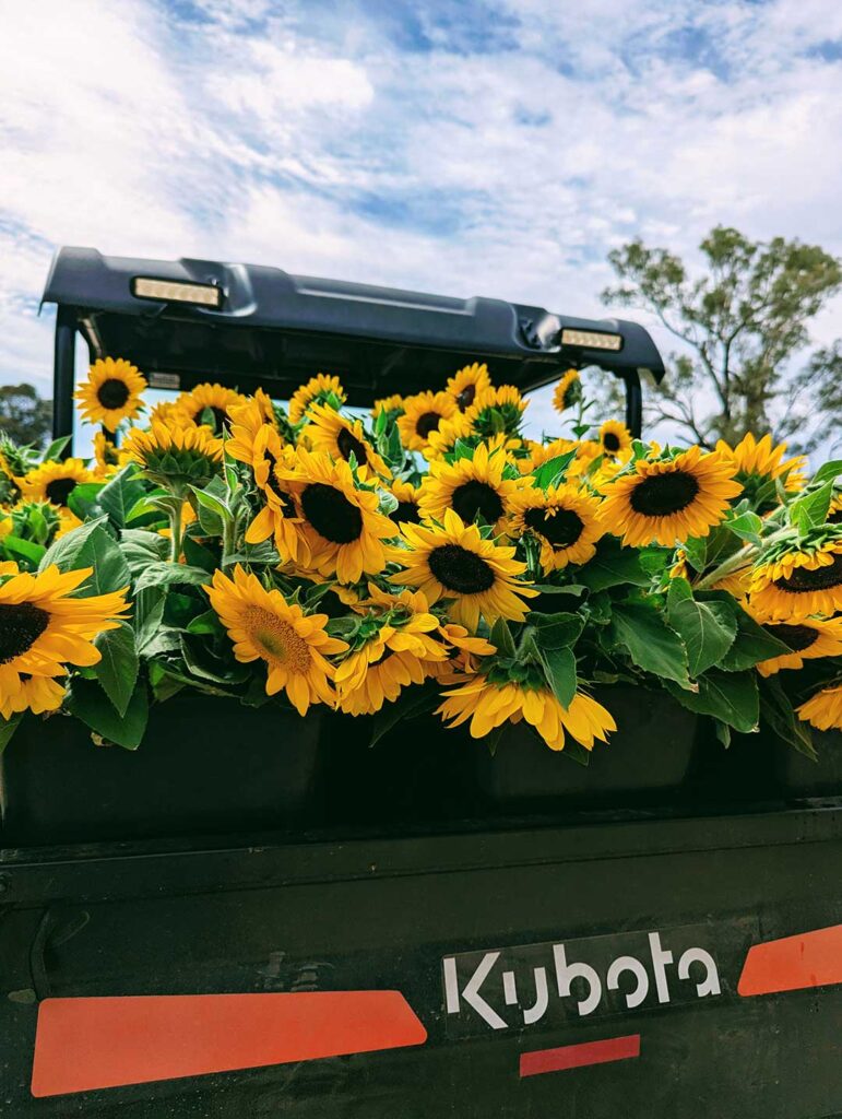 where can I buy flowers