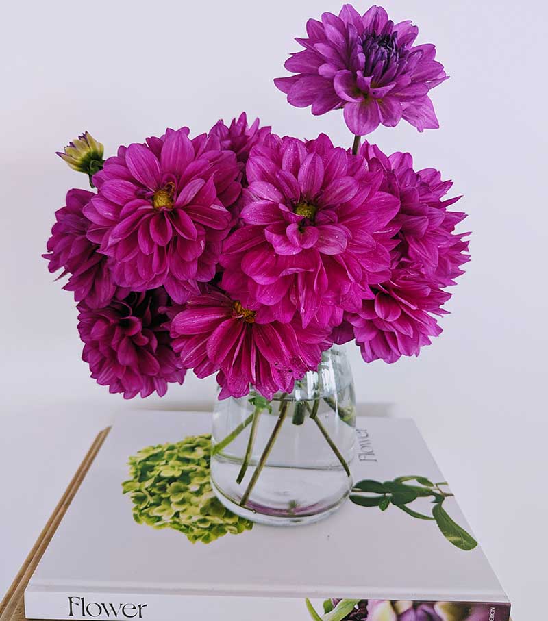 local florist poppy lane